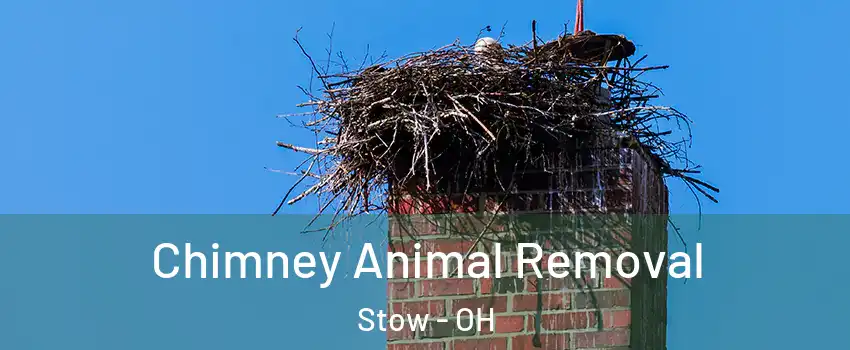Chimney Animal Removal Stow - OH