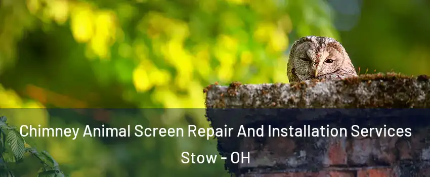  Chimney Animal Screen Repair And Installation Services Stow - OH
