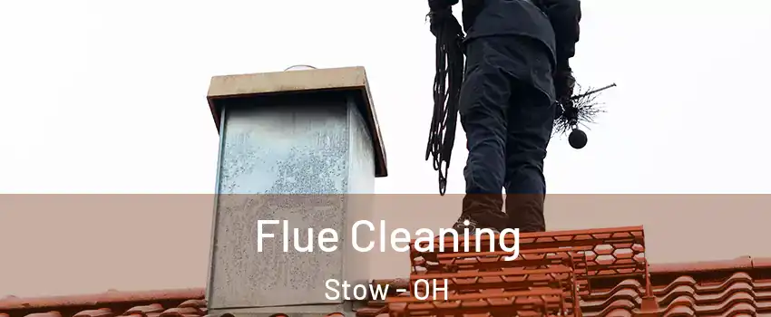  Flue Cleaning Stow - OH