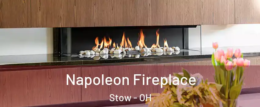  Napoleon Fireplace Stow - OH